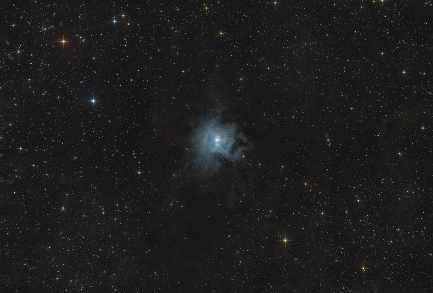 NGC 7023 - Irisnebel