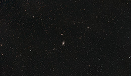 Messier 81 und 82 im weiten Feld