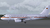 Bundesrepublik Deutschland - Airbus A319-133X CJ - [15+01]