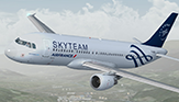 SkyTeam (Air France) - Airbus A320-211 - [F-GFKS]
